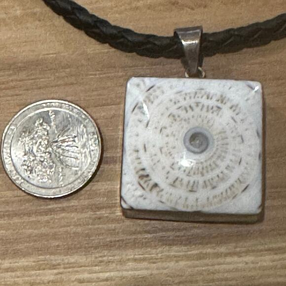 Beautiful Shiva Eye (Pacific Cat’s Eye) Shell Sterling Silver Necklace - Picture 4 of 5